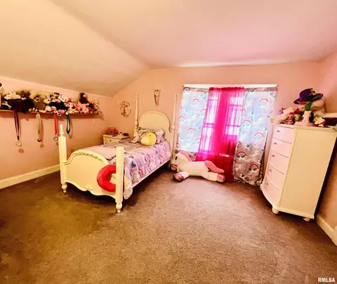 306 NW 3rd Ave, Aledo, IL 61231 photo 10