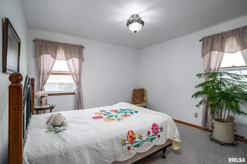 927 3rd Ave, Fulton, IL 61252 photo 11