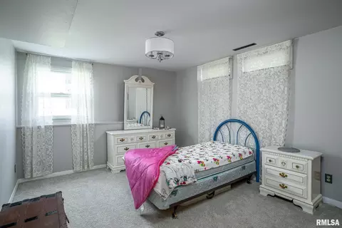 927 3rd Ave, Fulton, IL 61252 photo 18