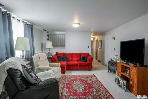 927 3rd Ave, Fulton, IL 61252 photo 16