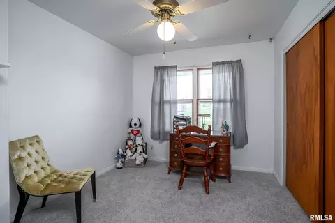 927 3rd Ave, Fulton, IL 61252 photo 10