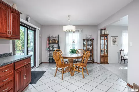 927 3rd Ave, Fulton, IL 61252 photo 7