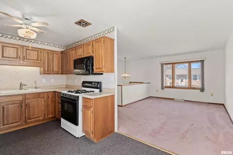 800 4th Ave E, Milan, IL 61264 photo 8