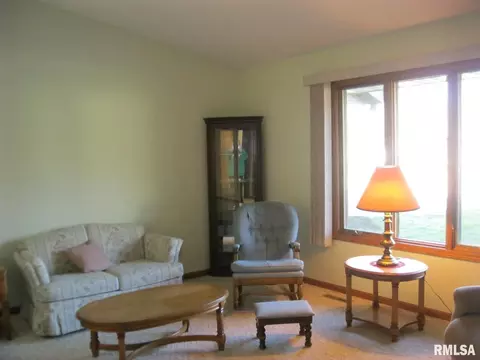 706 Valley View Dr, Fulton, IL 61252 photo 4