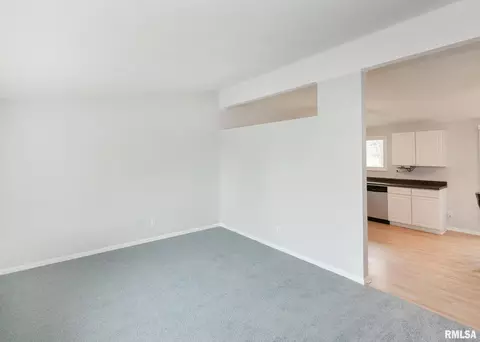 203 E Upper St, Cambridge, IL 61238 photo 11