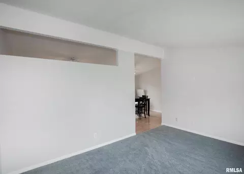 203 E Upper St, Cambridge, IL 61238 photo 12