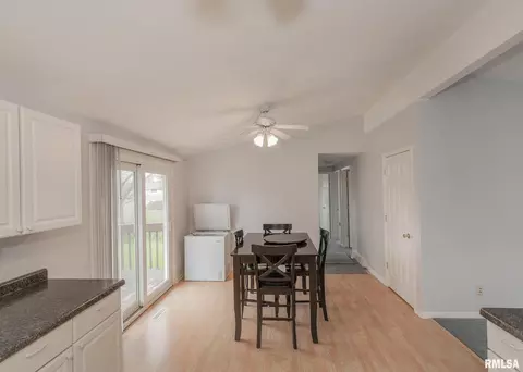 203 E Upper St, Cambridge, IL 61238 photo 9