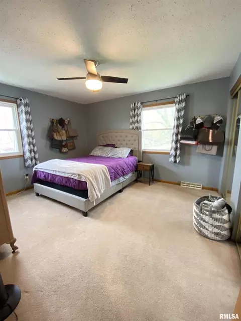 306 Crest Rd, Eldridge, IA 52748 photo 12
