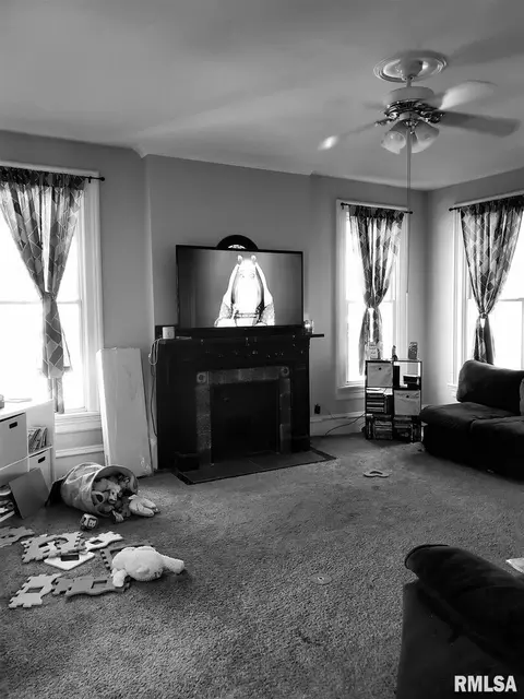 1111 15th St, Moline, IL 61265 photo 23