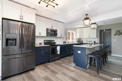 1 Skona Lk, Alpha, IL 61413 photo 17