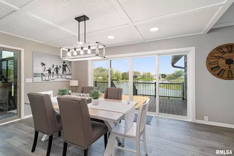 1 Skona Lk, Alpha, IL 61413 photo 30
