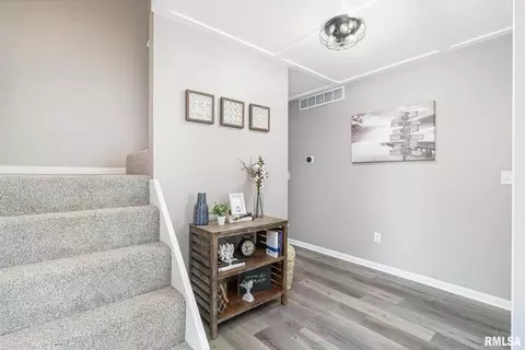 1 Skona Lk, Alpha, IL 61413 photo 15