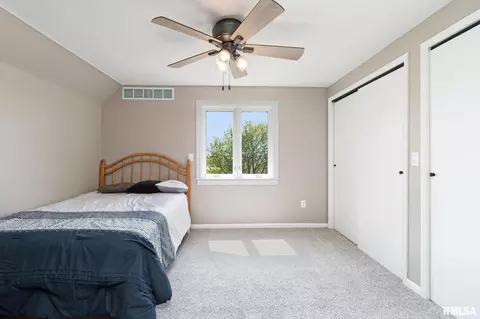 1 Skona Lk, Alpha, IL 61413 photo 37