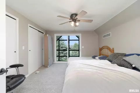 1 Skona Lk, Alpha, IL 61413 photo 35