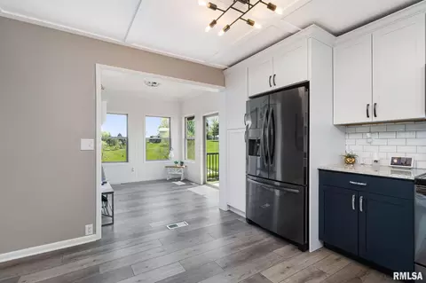 1 Skona Lk, Alpha, IL 61413 photo 19