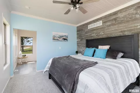 1 Skona Lk, Alpha, IL 61413 photo 24