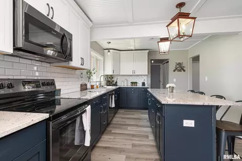 1 Skona Lk, Alpha, IL 61413 photo 18