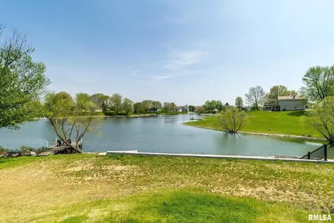 1 Skona Lk, Alpha, IL 61413 photo 11