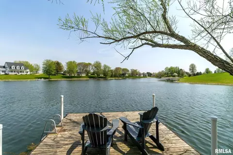 1 Skona Lk, Alpha, IL 61413 photo 7