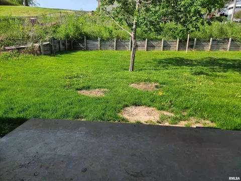 1219 12th Ave, Fulton, IL 61252 photo 12