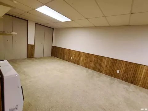 1219 12th Ave, Fulton, IL 61252 photo 11