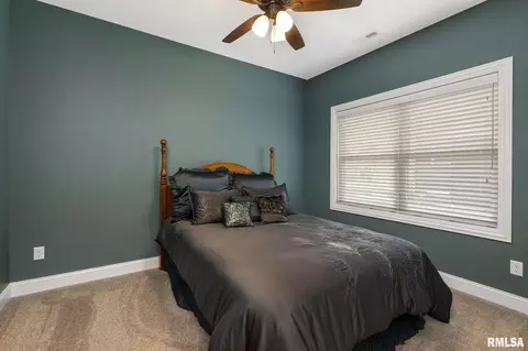 320 1st Ave, Hampton, IL 61256 photo 28