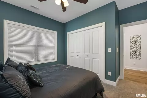 320 1st Ave, Hampton, IL 61256 photo 29