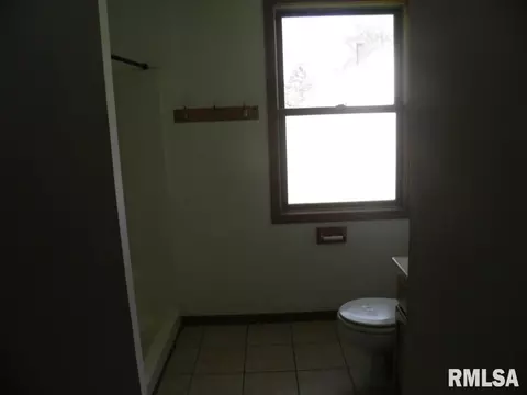 2105 West St, Thomson, IL 61285 photo 12