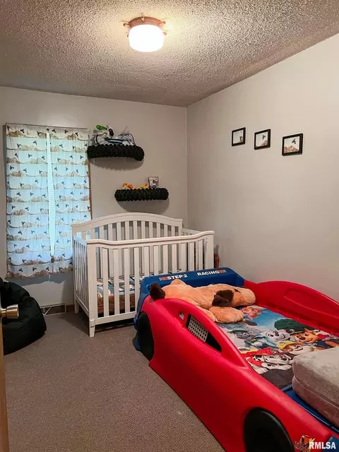 10464 Two Mile Rd, Thomson, IL 61285 photo 11