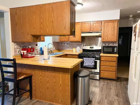 10464 Two Mile Rd, Thomson, IL 61285 photo 6