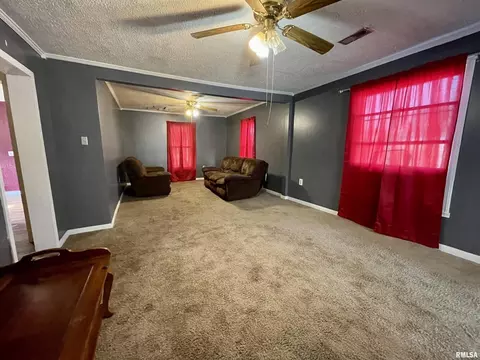 912 Elder St, Eldorado, IL 62930 photo 4