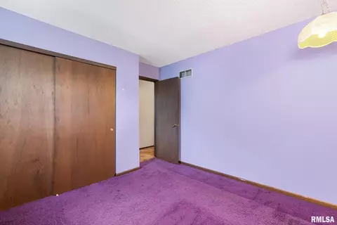 218 S Park View Dr, Eldridge, IA 52748 photo 10