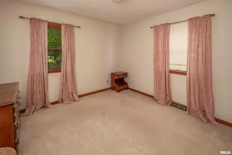 314 Oak St, Andover, IL 61233 photo 18