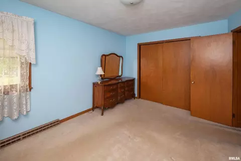 314 Oak St, Andover, IL 61233 photo 15