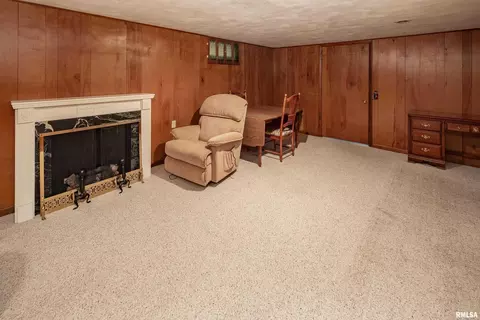 314 Oak St, Andover, IL 61233 photo 28