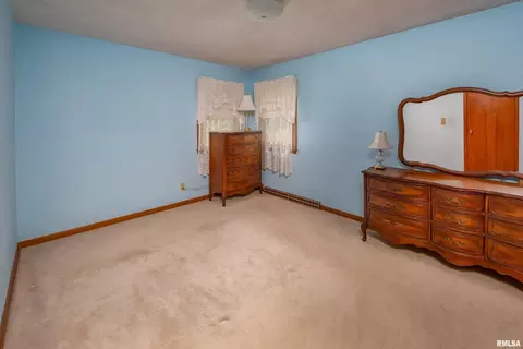 314 Oak St, Andover, IL 61233 photo 14