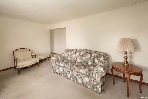 314 Oak St, Andover, IL 61233 photo 7