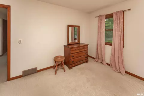 314 Oak St, Andover, IL 61233 photo 19
