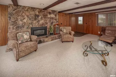 314 Oak St, Andover, IL 61233 photo 23