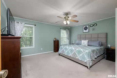 1209 W Maple St, Eldridge, IA 52748 photo 11