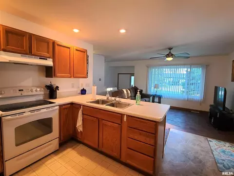 9016 Ewing Ln, Thomson, IL 61285 photo 4