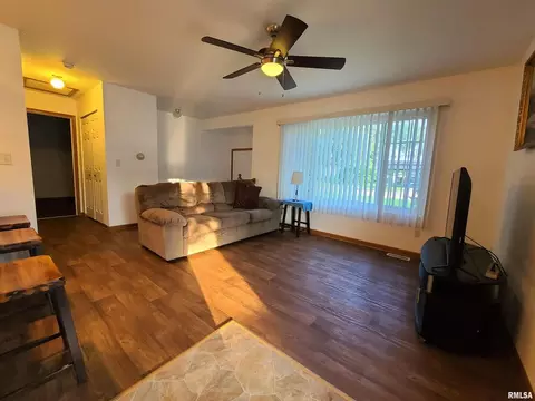 9016 Ewing Ln, Thomson, IL 61285 photo 5