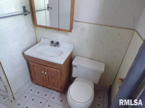 201 N Park St, Alpha, IL 61413 photo 18