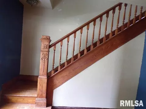 201 N Park St, Alpha, IL 61413 photo 12