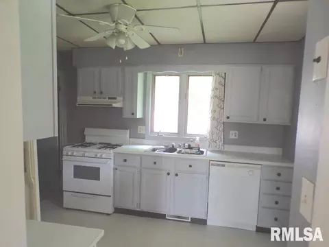 201 N Park St, Alpha, IL 61413 photo 8