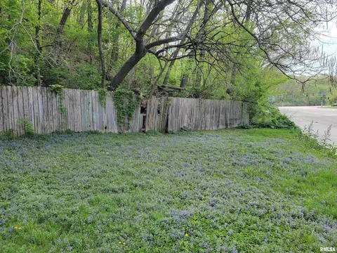1154 19th St, Moline, IL 61265 photo 3
