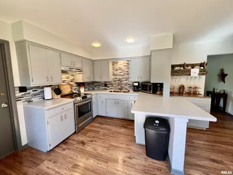 1302 SW 3rd Ave, Aledo, IL 61231 photo 3