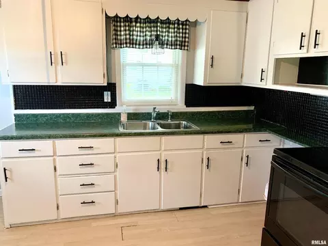 613 19th Ave, Fulton, IL 61252 photo 4