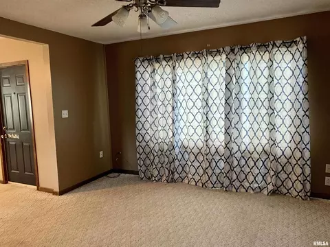 613 19th Ave, Fulton, IL 61252 photo 8