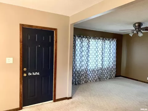 613 19th Ave, Fulton, IL 61252 photo 9